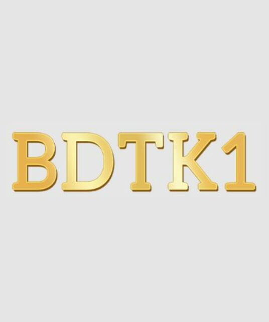 avatar BDTK1